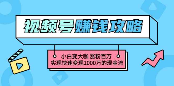 （3020期）玩转微信视频号赚钱：小白变大咖 涨粉百万 实现快速变现1000万的现金流-咩咩网络