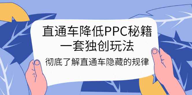 （3013期）直通车降低PPC秘籍，一套独创玩法：彻底了解直通车隐藏的规律-咩咩网络