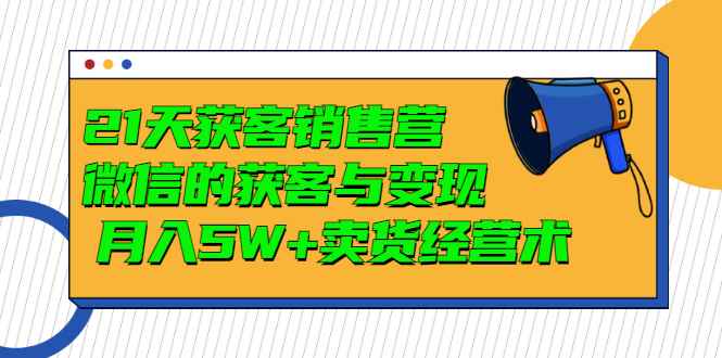 （2997期）21天获客销售营，带你微信的获客与变现  月入5W+卖货经营术-咩咩网络