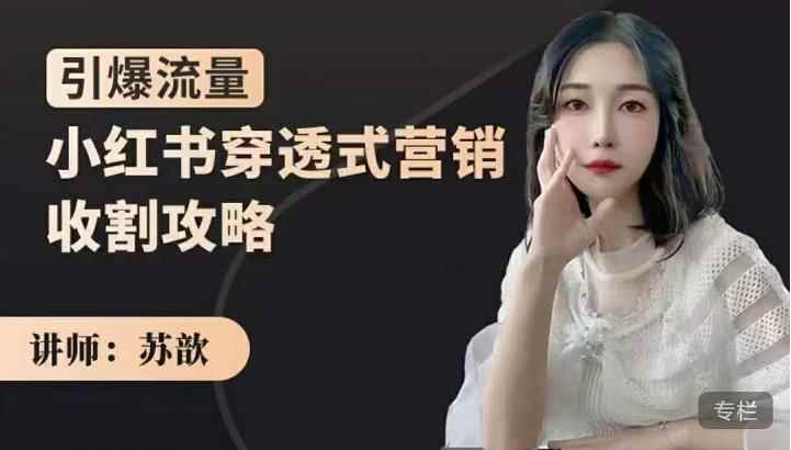 苏歆：小红书穿透式营销收割攻略，引爆流量，助你玩转小红书-咩咩网络