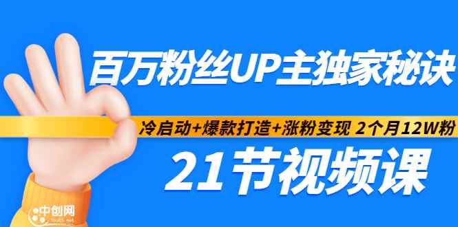 （2900期）百万粉丝UP主独家秘诀：冷启动+爆款打造+涨粉变现 2个月12W粉（21节视频课)-咩咩网络