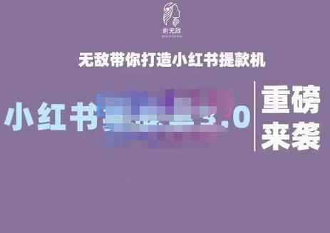 谢无敌·小红书实战营3.0，无敌带你打造小红书提款机 价值7999元-咩咩网络