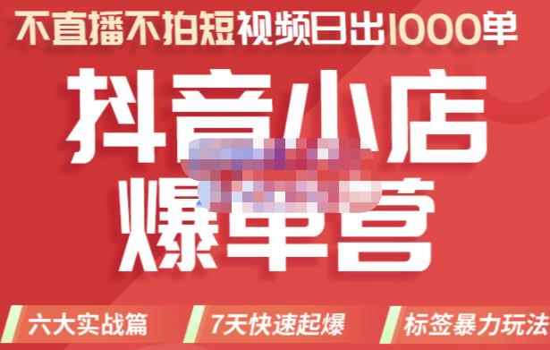 推易电商·2022年抖音小店爆单营，不直播、不拍短视频、日出1000单，暴力玩法-咩咩网络