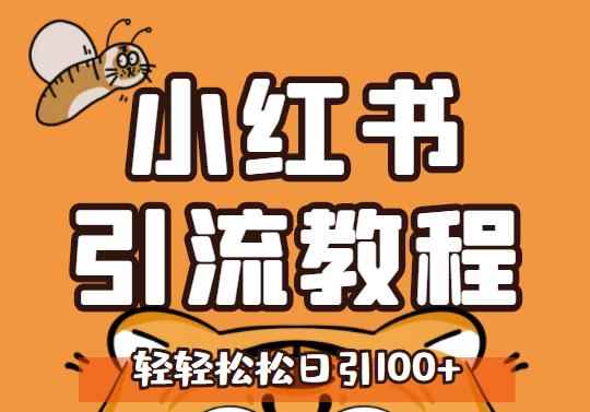 小红书运营引流全系列课程，每天引流100精准粉-咩咩网络