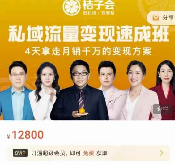 桔子会·私域流量变现速成班，4天拿走月销千万的变现方案 价值12800元-咩咩网络