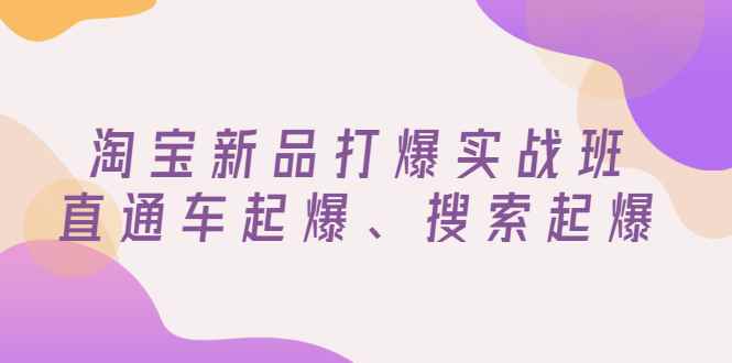 （2816期）淘宝新品打爆实战班，直通车起爆、搜索起爆（价值599元）-咩咩网络