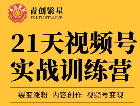 张萌21天视频号实战训练营，裂变涨粉、内容创作、视频号变现 价值298元-咩咩网络