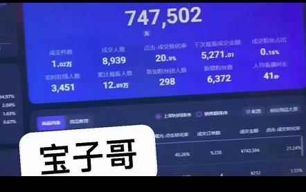 宝子哥无人直播，半无人直播，Obs+伴侣玩法，快速打标签+养鱼-咩咩网络