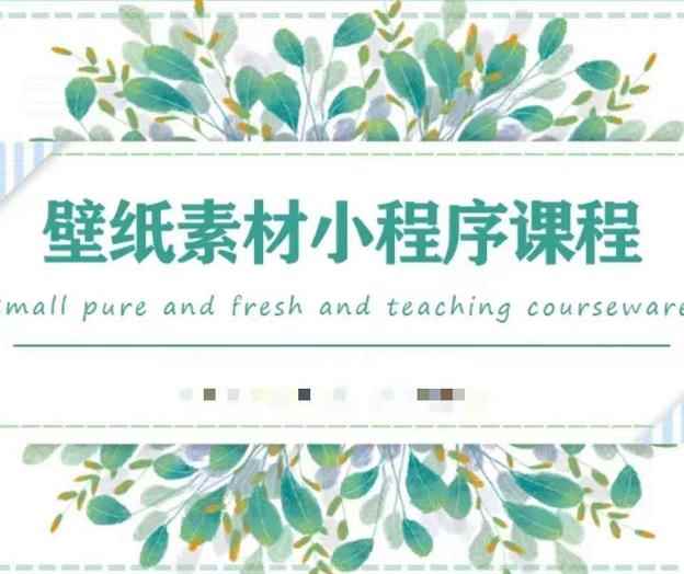 闪闪壁纸号运营教程，抓住图文风口，快速吸粉变现-咩咩网络