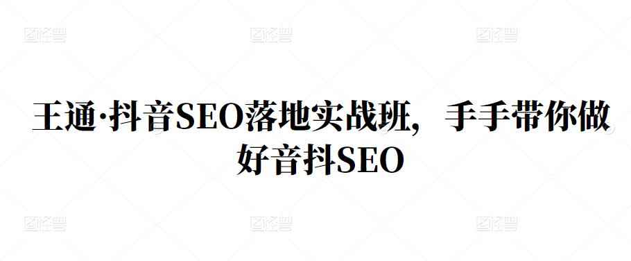王通·抖音SEO落地实战班，手‬手带你做好音抖‬‬SEO-咩咩网络