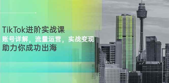 （2749期）TikTok进阶实战课：账号详解，流量运营，实战变现，助力你成功出海-咩咩网络