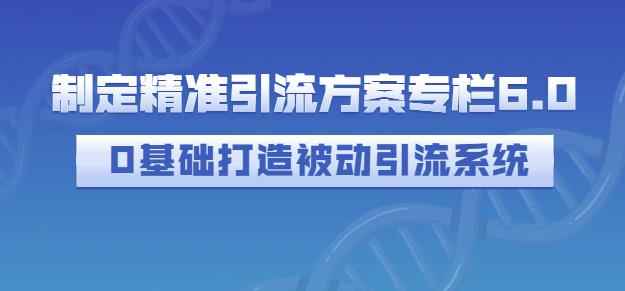 制定精准引流方案专栏6.0，0基础打造被动引流系统-咩咩网络