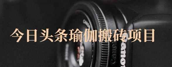 猎人社区·今日头条瑜伽搬砖项目，单号一天几十收入，可以批量操作！-咩咩网络