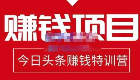 懒人领域·今日头条项目玩法，头条中视频项目，单号收益在50—500可批量-咩咩网络