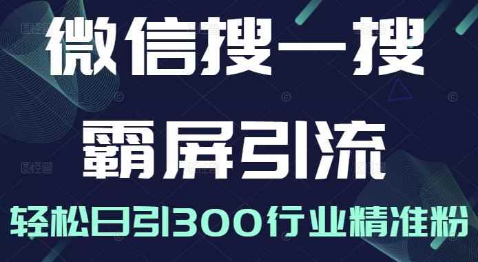 微信搜一搜霸屏引流课，打造被动精准引流系统，轻松日引300行业精准粉【无水印】-咩咩网络