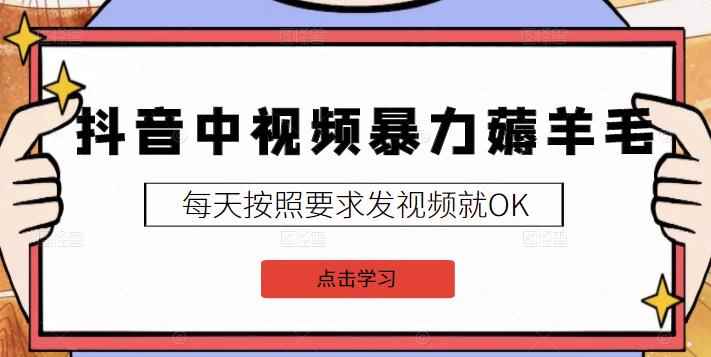 2022抖音中视频暴力薅羊毛白嫖项目：新号每天20块，老号几天几百块，可多号-咩咩网络