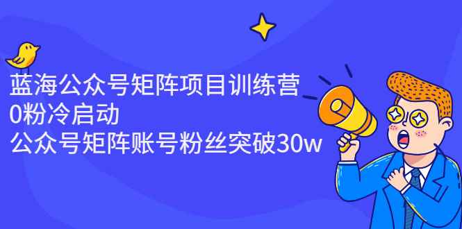 （2405期）蓝海公众号矩阵项目训练营，0粉冷启动，公众号矩阵账号粉丝突破30w-咩咩网络