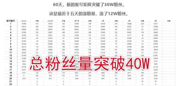 倪叶明·蓝海公众号矩阵项目训练营，0粉冷启动，公众号矩阵账号粉丝突破30w-咩咩网络