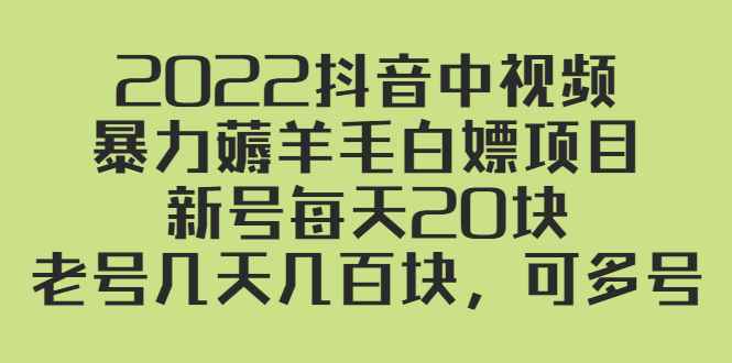 （2402期）2022抖音中视频暴力薅羊毛白嫖项目：新号每天20块，老号几天几百块，可多号-咩咩网络