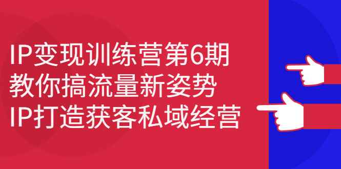 （2351期）IP变现训练营第6期：教你搞流量新姿势，IP打造获客私域经营-咩咩网络