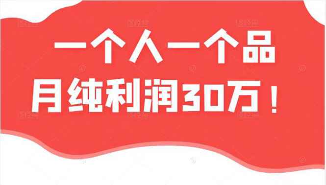 （2343期）某公众号付费文章：一个人一个品月纯利润30万的蓝海电商经典案例！-咩咩网络