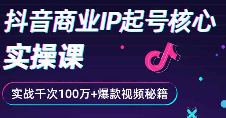 （2336期）抖音爆款商业IP起号核心实操课：带你玩转算法，流量，内容，架构，变现-咩咩网络