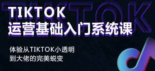 Tiktok实操进阶课程，体验从tiktok小透明到大佬的完美蜕变-咩咩网络