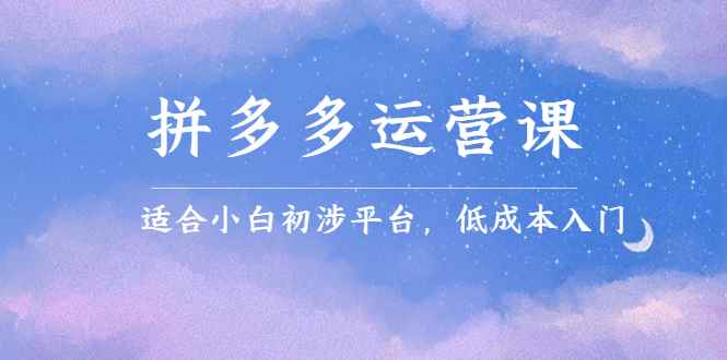 （2323期）拼多多运营课，适合小白初涉平台，低成本入门 创造销量和利润的方法-咩咩网络