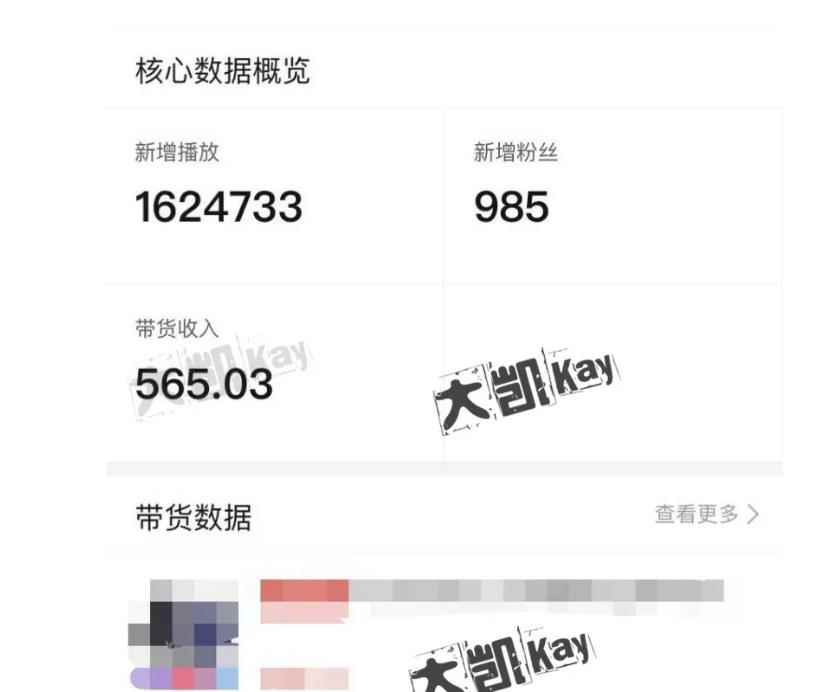 大凯进阶圈新玩法之拼多多视频玩法，利润大概一个号一天能有500~1500的左右!-咩咩网络