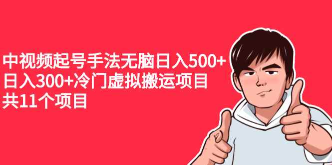 （2224期）中视频起号手法无脑日入500+日入300+冷门虚拟搬运项目（共11个项目）-咩咩网络