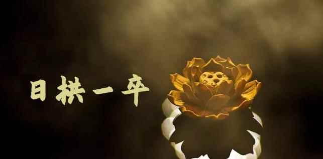 月入8000+，无脑搬砖，普通人可以复制的副业赚钱项目(附软件)-咩咩网络