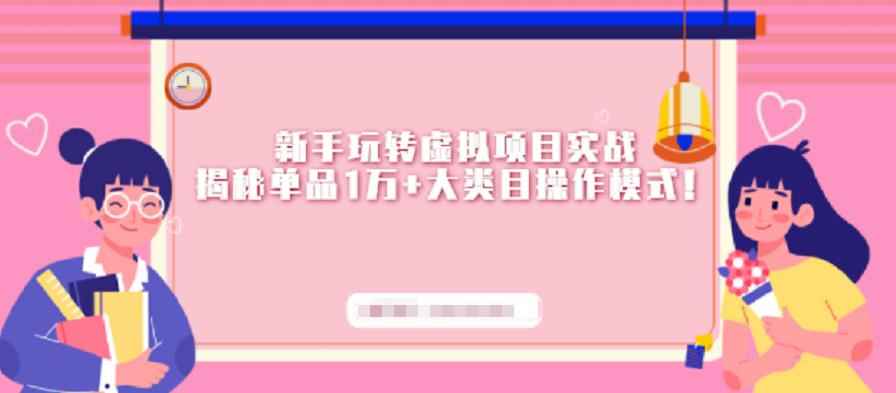 新手玩转虚拟项目实战，揭秘单品1万+大类目操作模式【视频课程】-咩咩网络