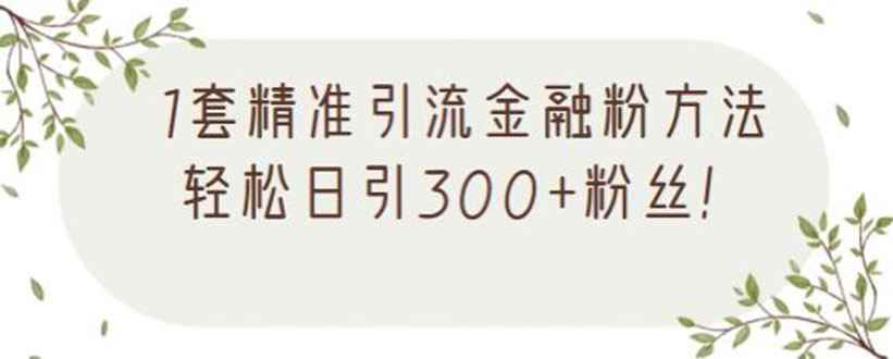 （2156期）1套精准引流金融粉方法，轻松日引300+粉丝【视频课程】-咩咩网络