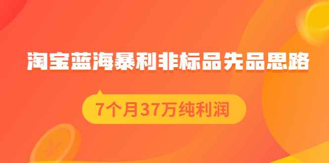 （2054期）淘宝蓝海暴利非标品先品思路，7个月37万纯利润，压箱干货分享！-咩咩网络