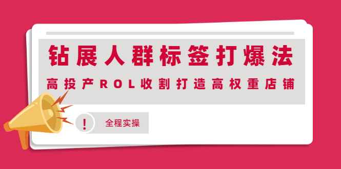 （2018期）钻展人群标签打爆法，高投产ROL收割打造高权重店铺(全程实操)-咩咩网络