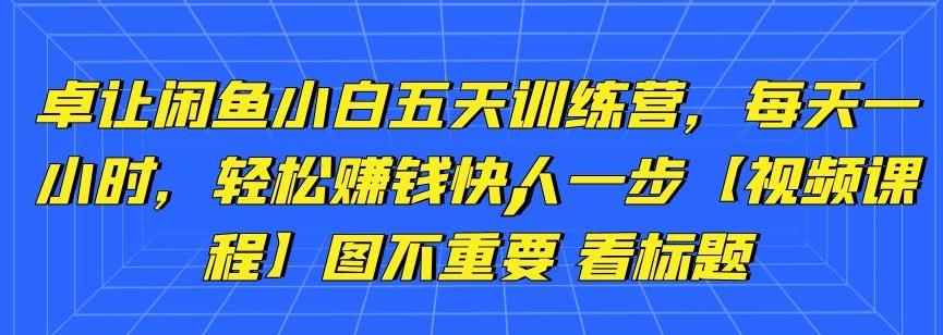 卓让闲鱼小白五天训练营，每天一小时，轻松赚钱快人一步【视频课程】-咩咩网络