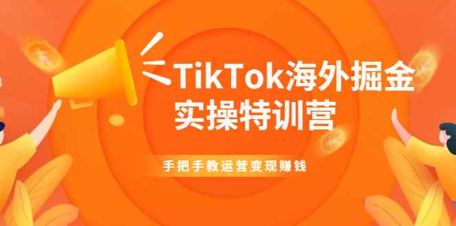 （1942期）TikTok海外掘金实操特训营：手把手教运营变现赚钱【视频课程】-咩咩网络