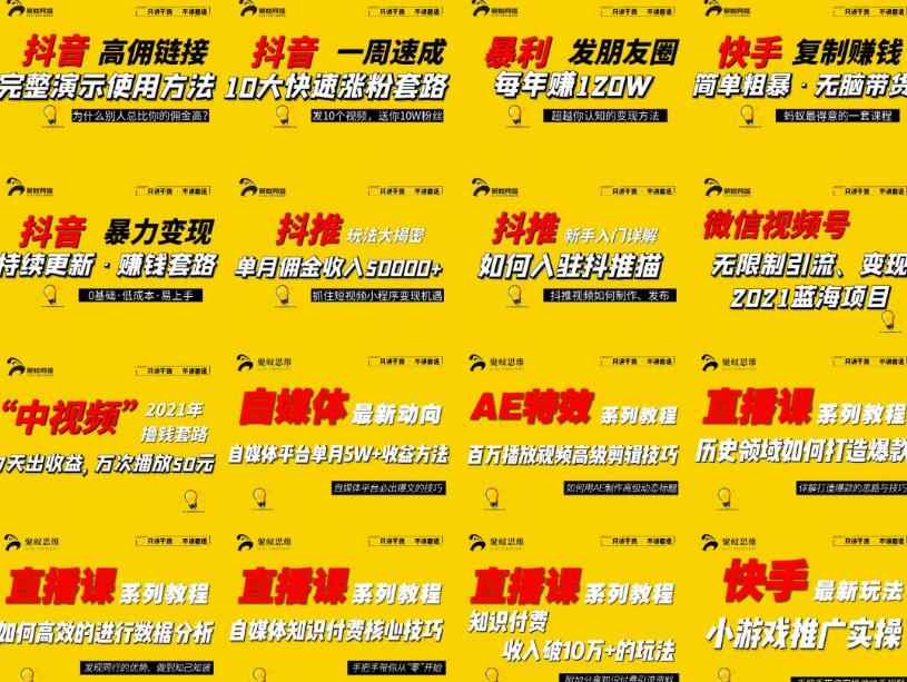 2021聚蚁思维高级合伙人vip会员课程合集，帮助上万人通过短视频变现益利-咩咩网络