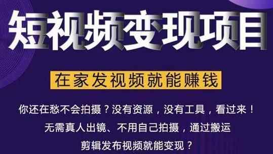 随风短视频变现项目：从0到1教你打造爆款短视频变现，在家发视频就能赚钱-咩咩网络