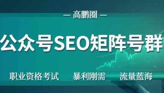 高鹏圈公众号SEO矩阵号群，实操20天纯收益25000+，普通人都能做-咩咩网络