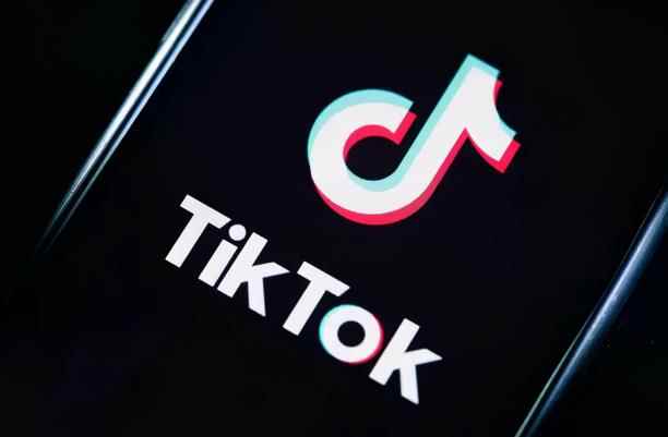 龟课·TikTok变现实战训练营线上第4期，0基础教你搬运视频，获得热门赚美金！-咩咩网络