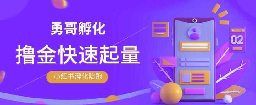勇哥·小红书撸金快速起量陪跑孵化营，教你在小红书平台实现副业的睡后收入-咩咩网络