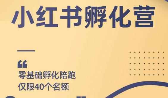 勇哥小红书撸金快速起量项目：教你如何快速起号获得曝光，做到月躺赚在3000+-咩咩网络