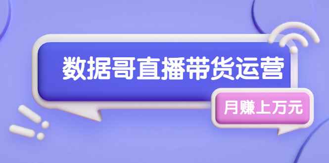 （1761期）数据哥直播带货运营线上进阶课，让普通人也能靠直播月赚上万元-咩咩网络