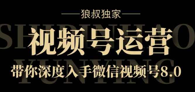 狼叔独家：视频号运营实战课8.0，带你深度入手微信视频号-咩咩网络