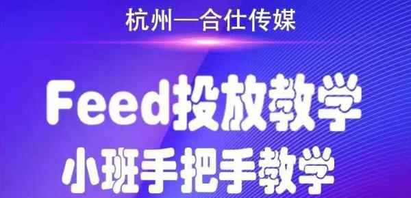 （1749期）合仕传媒Feed投放教学，手把手教学，开车烧钱必须自己会！-咩咩网络