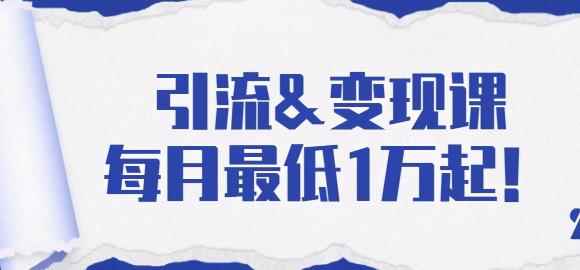 引流变现课：分享一整套流量方法以及各个渠道收入，每月最低1万起！-咩咩网络