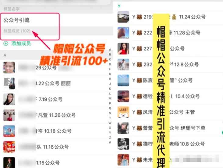 7天玩转微信公众号被动引流系统，日引100+精准流量【视频课程】-咩咩网络