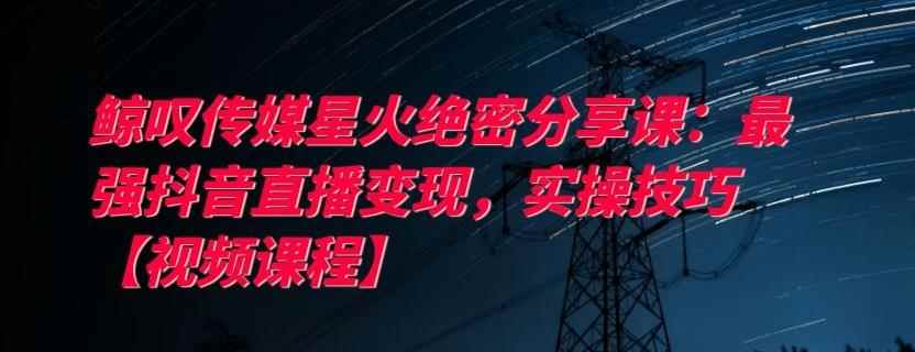 鲸叹传媒星火绝密分享课：最强抖音直播变现，实操技巧【视频课程】-咩咩网络