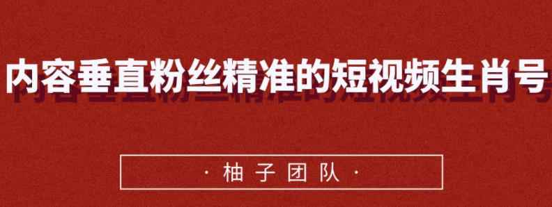 内容垂直粉丝精准的短视频生肖号，小众领域简单操作月入10000+【视频课程】-咩咩网络
